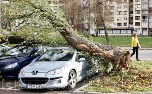 Posljedice jakog vjetra: Oštećena mnoga auta u Sarajevu